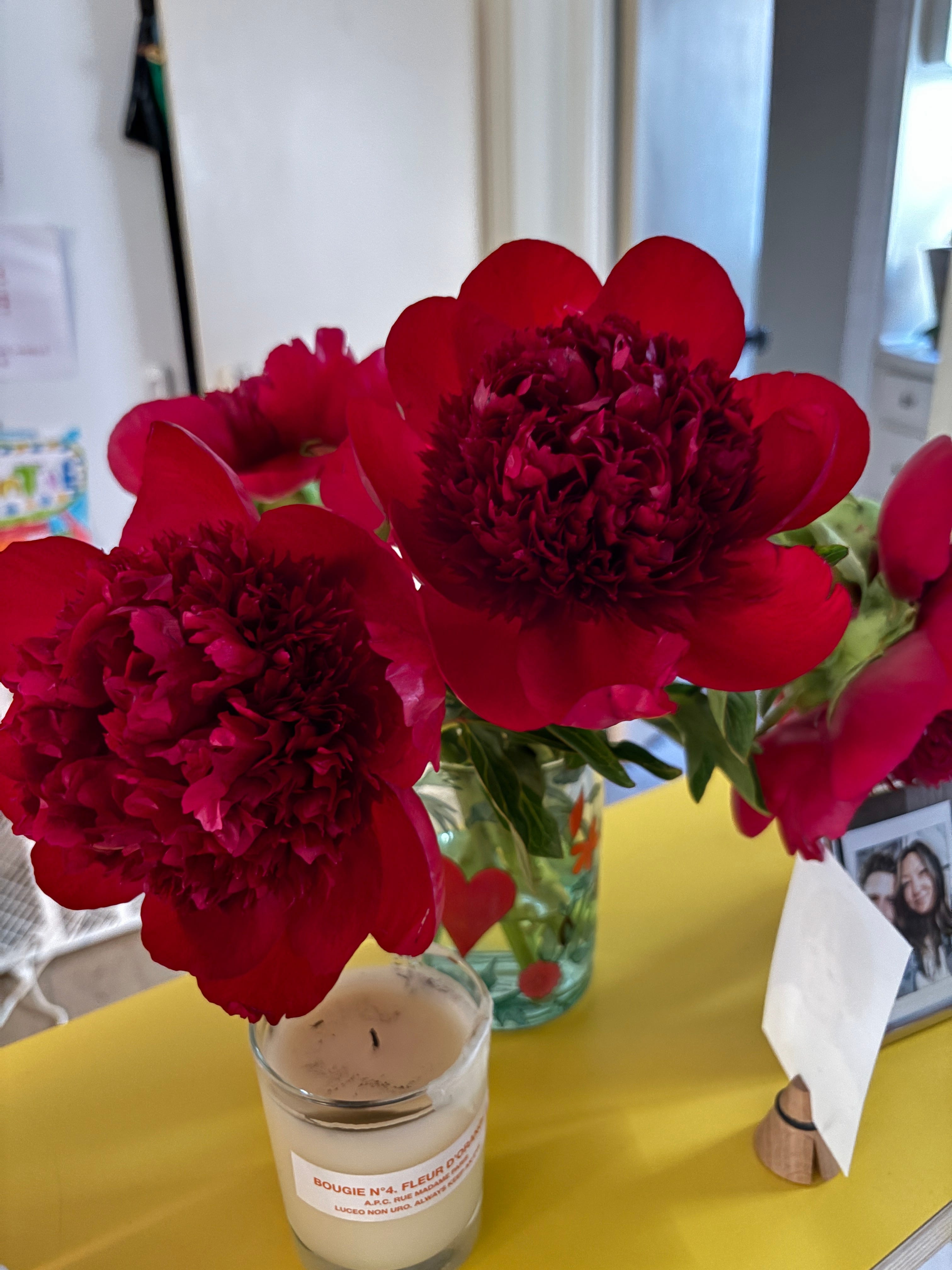 Women with Cool Jobs: Amanda Dobbins - by Maurene Goo