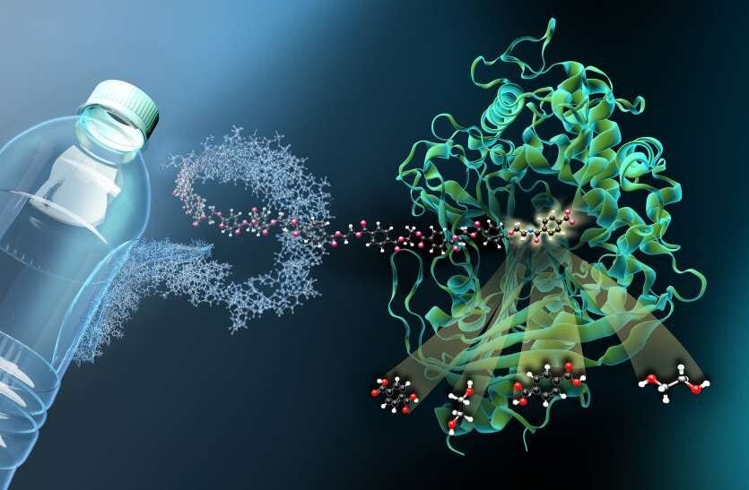 Plastic Eating enzymes Are going to feast! — Paragon Institute of Innovation Plastic Eating enzymes Are going to feast! — Paragon Institute of Innovation