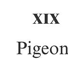 Story XIX: Pigeons