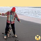 Dog park free-for-alls versus off-leash under voice control