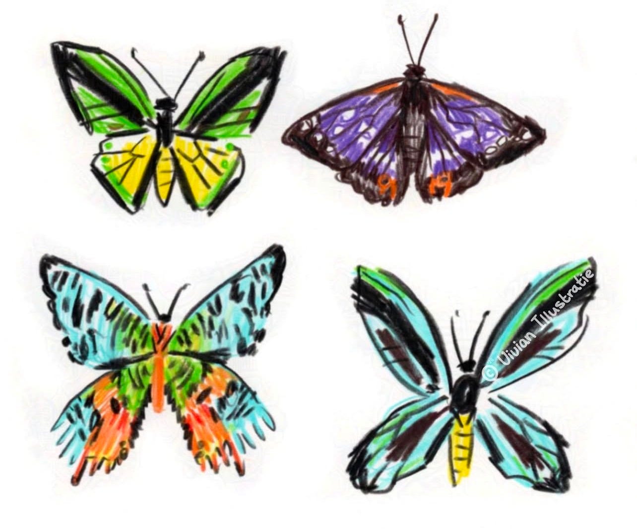 colorful butterflies by Vivian van den Bosch colorful butterflies by Vivian van den Bosch