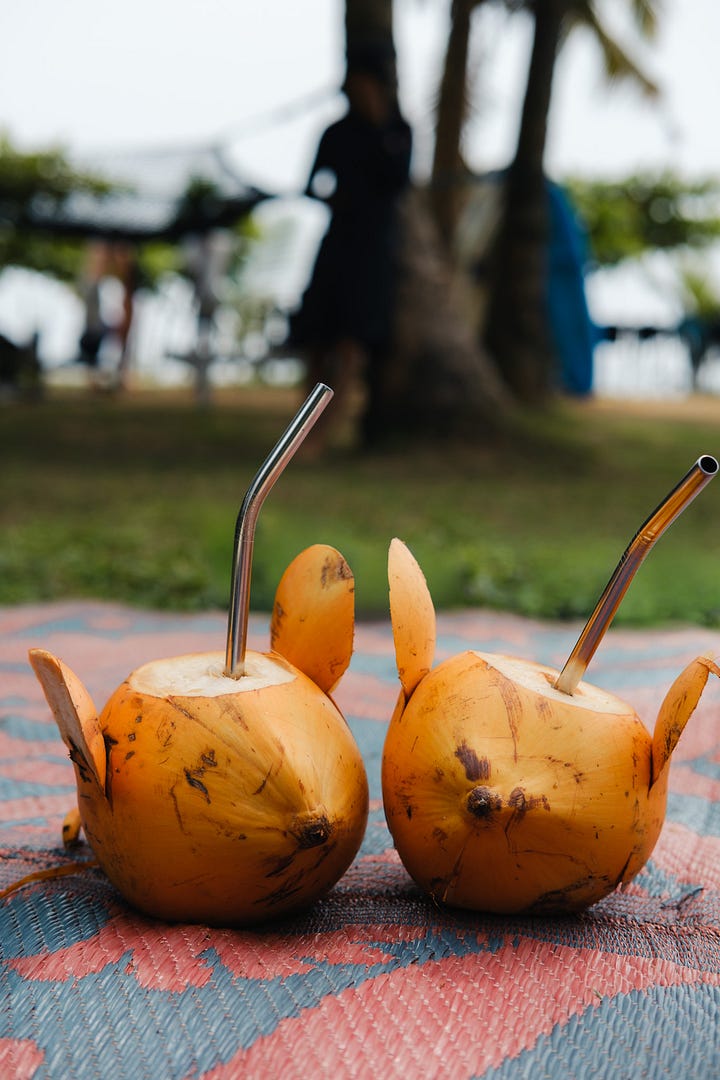 Sjael, Kudawella Beach, Sri Lanka