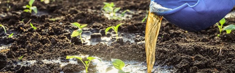 Toopi Organics, l'entreprise qui transforme l'urine en engrais bio