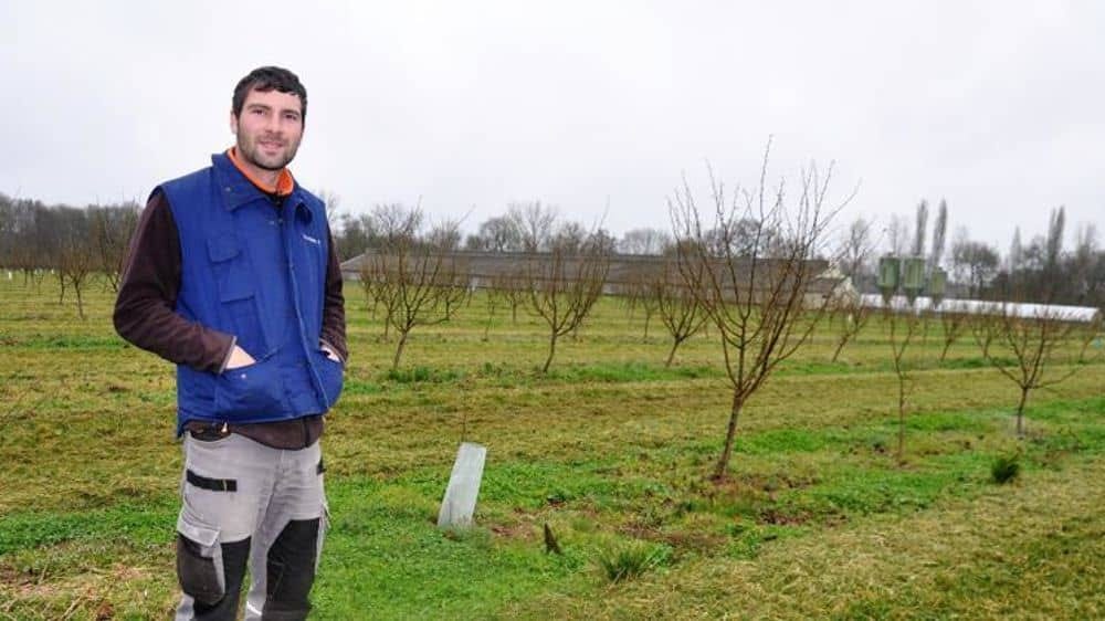 A French farmer on his hazelnut plantation A French farmer on his hazelnut plantation