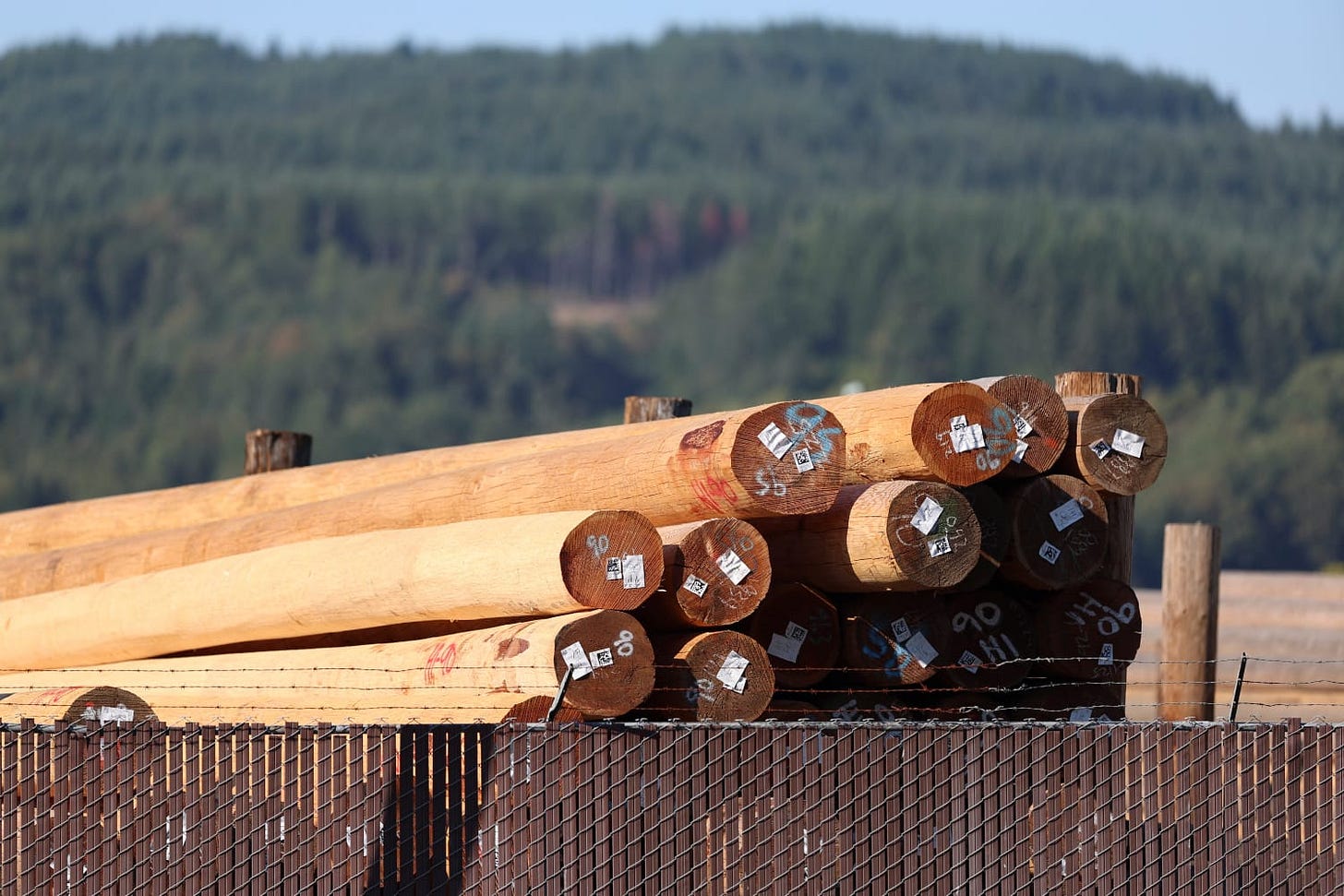 The Sheridan wood treatment facility, operated by various companies since 1946, has until recently used a hazardous wood preservative known as pentachlorophenol to prevent rotting and fungus in products like telephone poles and wood ties. (Amanda Loman/InvestigateWest)