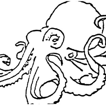 The Octopus and The Ant