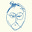 Noah G. Thomas's avatar