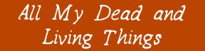 All My Dead & Living Things
