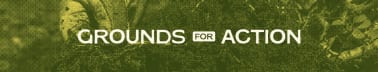 Grounds for Action
