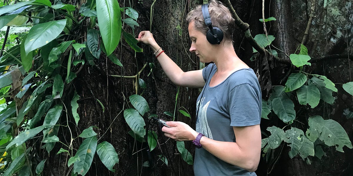 Walking with Olivia Sprinkel, author