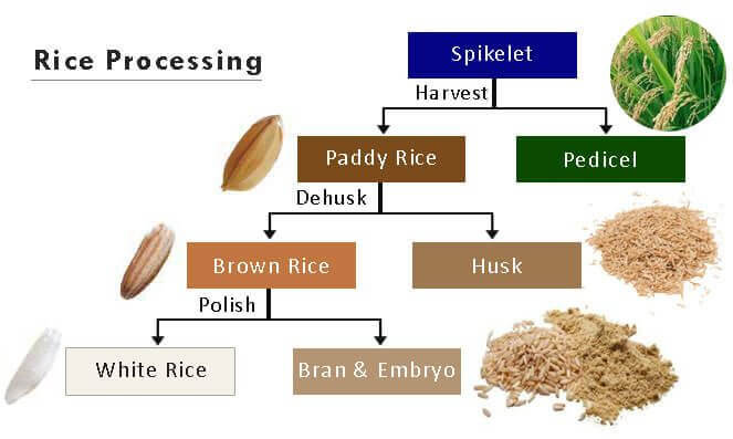 Rice Processing Technology, How Rice is Processed | Rice Milling Machine  Manufacturer