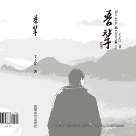 丁子江 | 長篇小說《吾輩》创作感