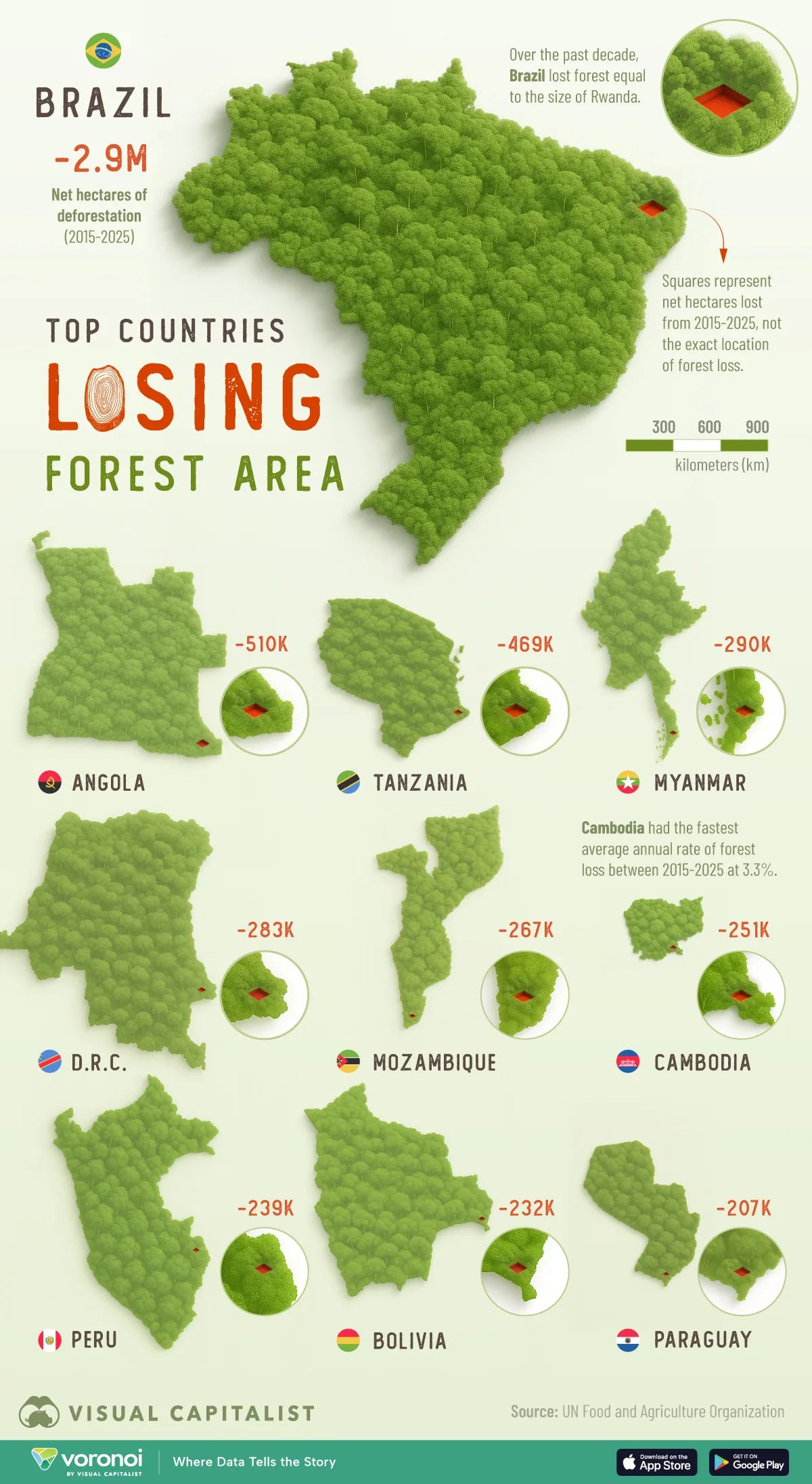 Graphic showing countries and their proportional scale of forest loss between 2015 and 2025.
