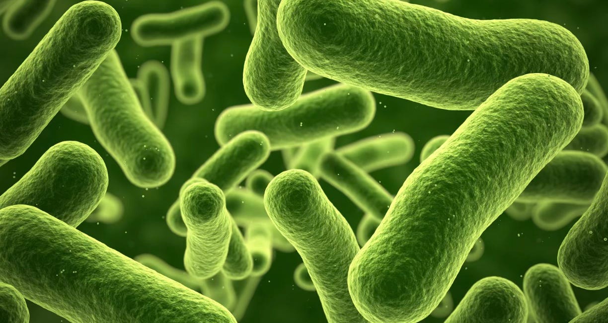 ⚠️ Moisissures Cachées : le Poison Silencieux qui a Failli Briser ma Santé de Biohackeuse