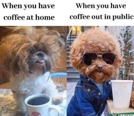 29 Funny Coffee Memes Every Caffeine Lover Will Relate To