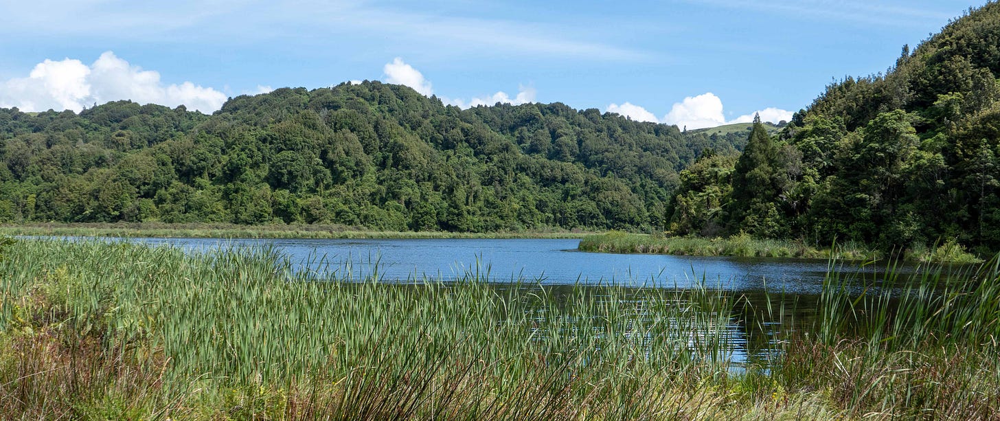 Lake Rotokare reflecting the blue sky. Native forest covers hills on the far side and reeds line the foreground.