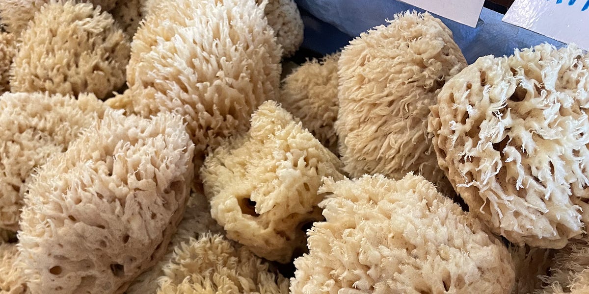 Re Sponge Buy This: The Best Dish Sponge - by Brooks Reitz