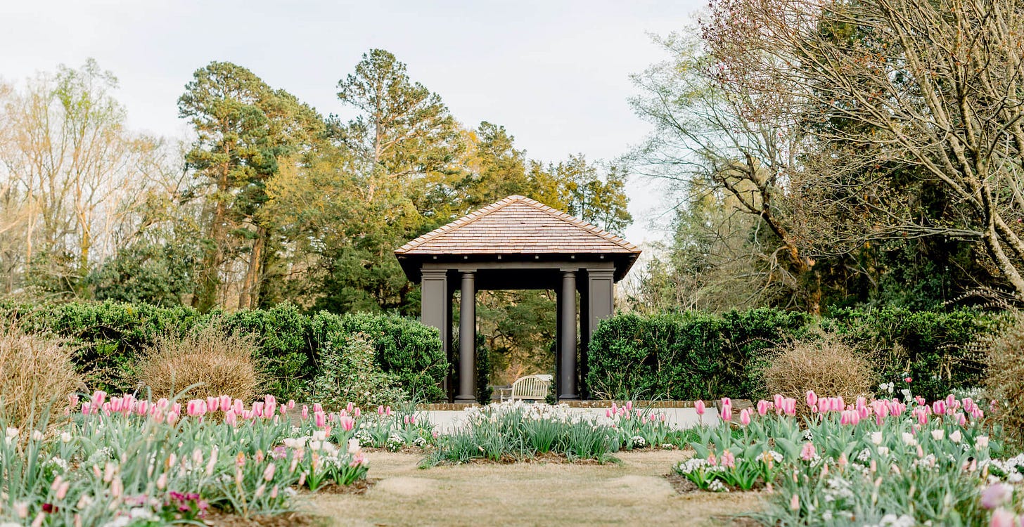 Tuesday Gardening Series