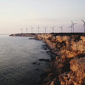 What I'm Reading Climate Poetry that Fortifies Me