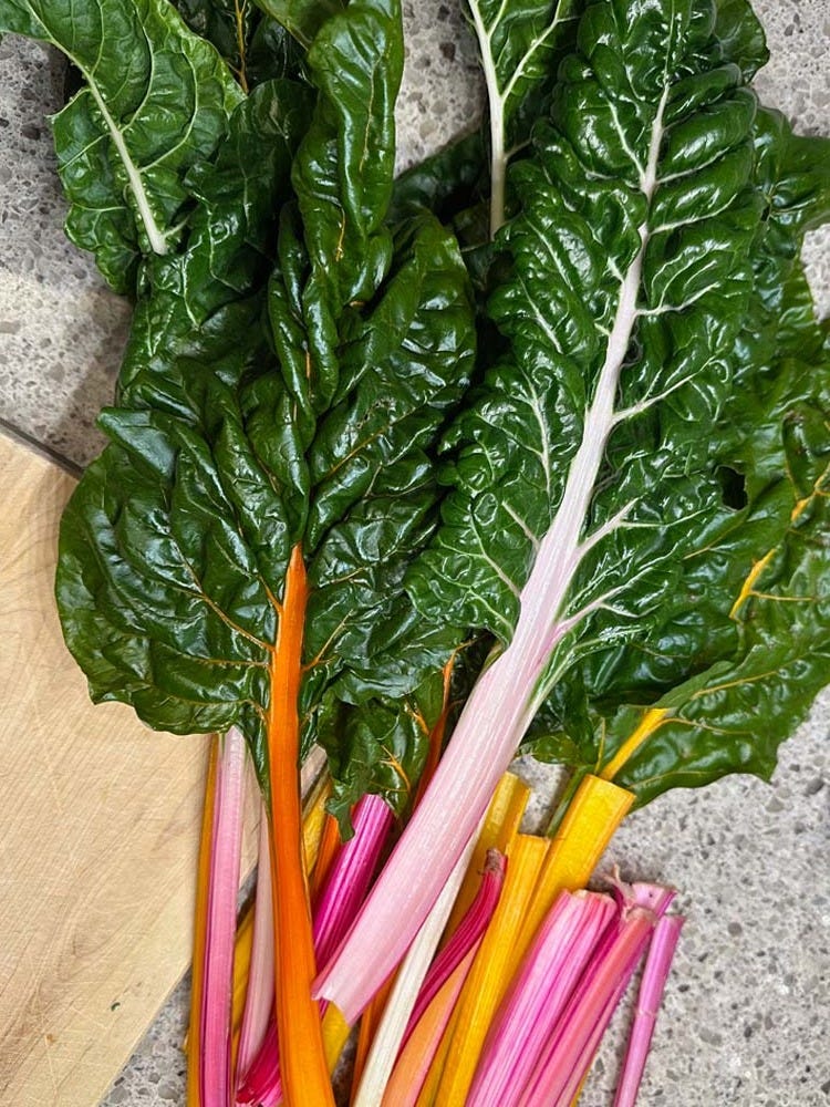 Rainbow Swiss Chard