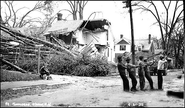 Photographs documenting the 1938 New England Hurricane