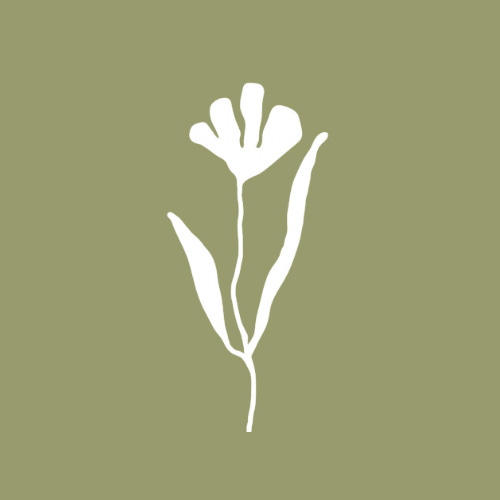 Wildflower Mail 