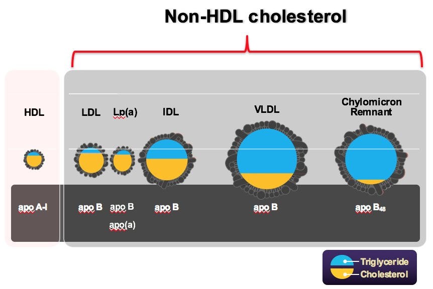 how many vials for lipid panel w non-hdl-c panel General Chemistry Reagent PTS Panels Understanding the lipid panel: Considerations