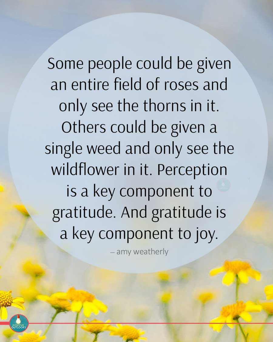 May be an image of flower and text that says 'Some people could be given an entire field of roses and only see the thorns in it. Others could be given a single weed and only see the wildflower in it. Perception is a key component to gratitude. And gratitude is a key component to joy. -amy weatherly SUTLOOks'