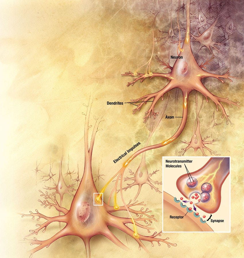 neuron synaptic transmission illustration neuron synaptic transmission illustration