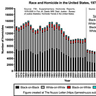 Race and Homicide in the United States