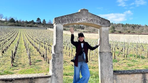 Grands Jours de Bourgogne 2026 comprised 13 tasting events showcasing Bourgogne grand, premier, village, and regional wines.