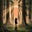 Awen's avatar