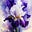 Norma Hunt's avatar