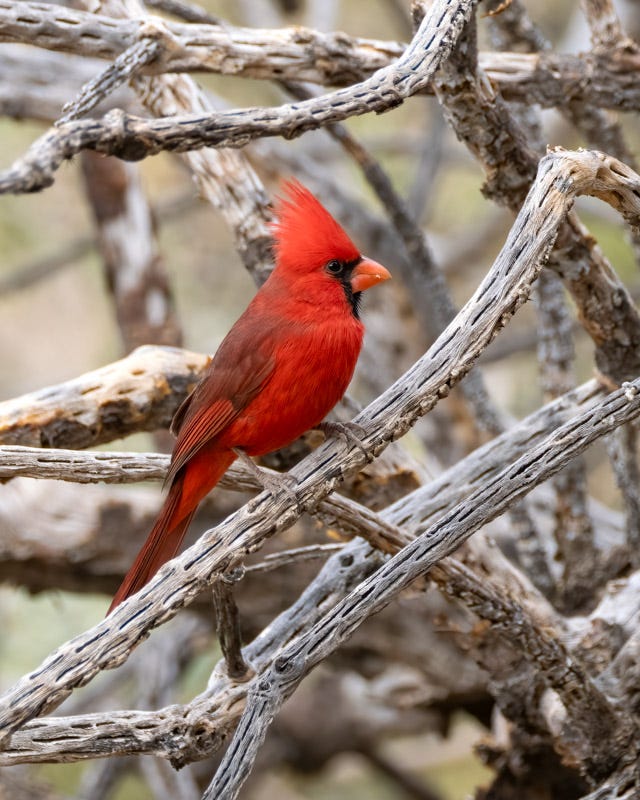 20250127-MBY-71-Edit.jpg 20250127-MBY-71-Edit.jpg