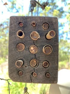 a block of wood studded with bamboo stems