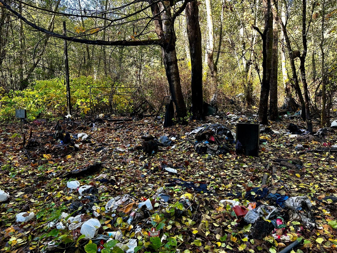 A pile of trash in the woods

Description automatically generated