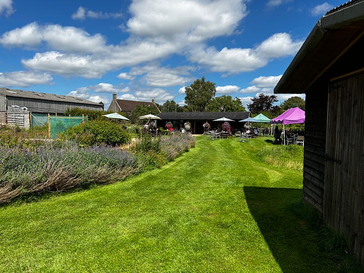 First photo shows plants for sals and the second in the cafe and shop at Somerset Lavender Farm. Images: Roland's Travels