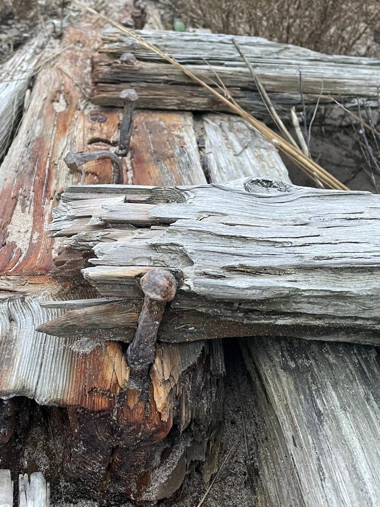 Old dock with nails