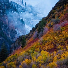 Measured in Seasons