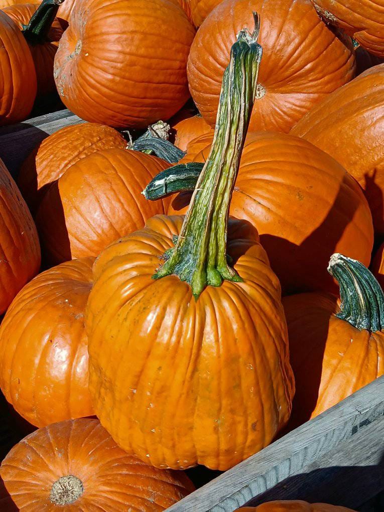 No photo description available.