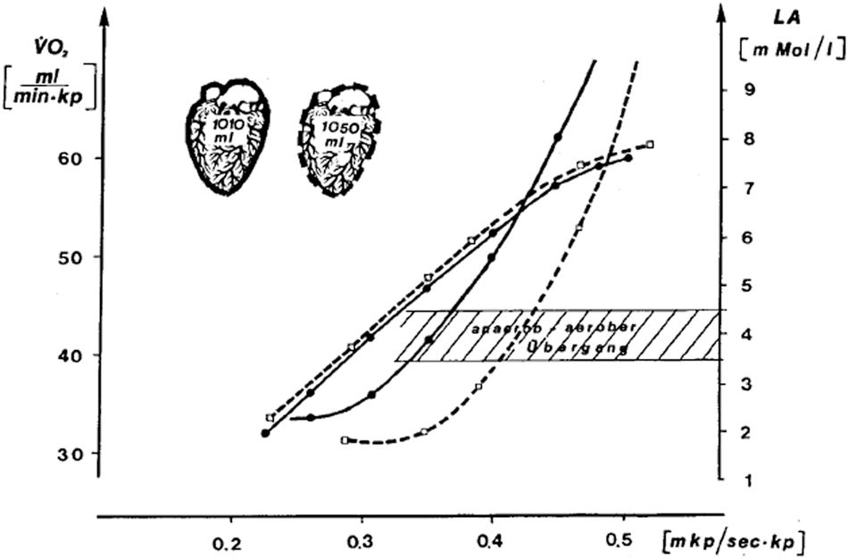 Effect of a ≈6-week endurance training by one individual at the intensity of the 4 mmol.L−1 lactate threshold (Mader et al. termed it “aerobic-anaerobic transition”) on heart volume measured by X-ray, V˙O2max, and the workload at the at 4 mmol.L−1 lactate threshold. The study also highlights that the exercise protocol (e.g., the duration of each step) affects the lactate curve and that lactate testing should be specific for each sport (e.g., testing rowers on a treadmill has little predictive power). Printed with kind permission from Mader et al. (1976).