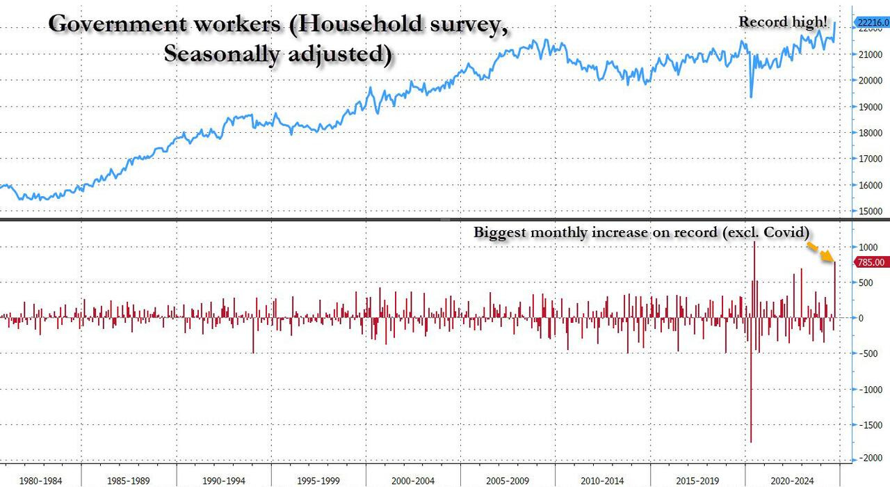Government employment
