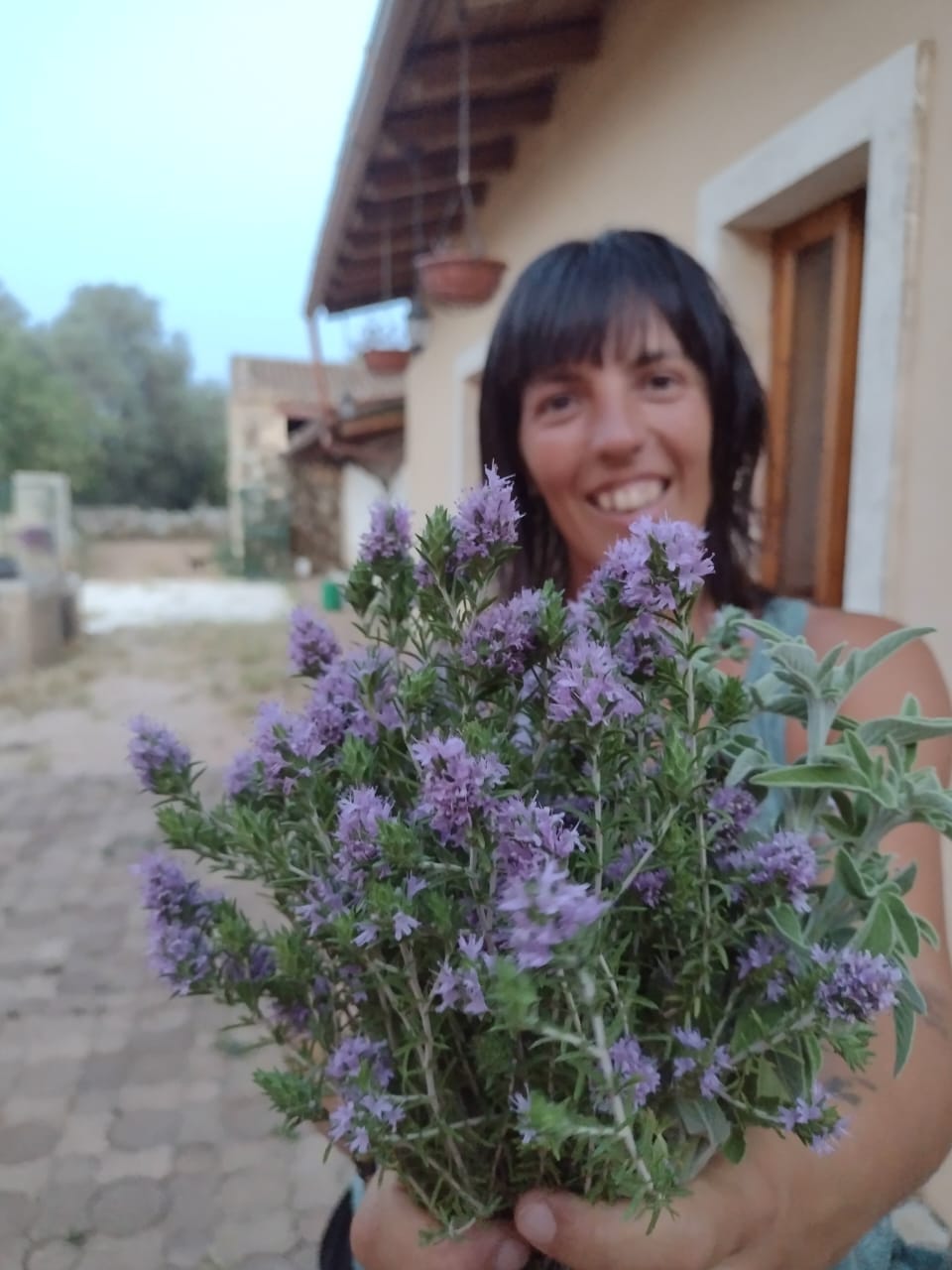 Flores de aromáticas. Tomillo y salvia silvestre en Sicilia.
