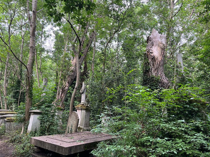 Broken column graves amongst a wild woodland