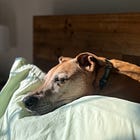 Let's All Draw Some Dogs Together!