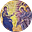 Kolbe Center's avatar
