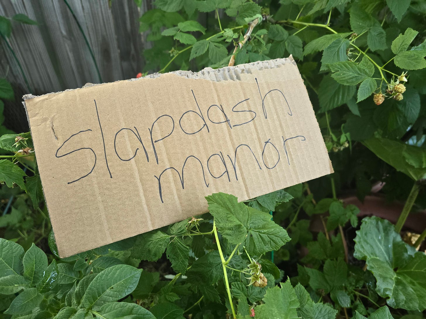 A cardboard sign with Slapdash Manor written on it lies amongst some leaves and unripe raspberries.