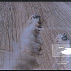 Chi produce i dati per espellere i migranti dagli Stati Uniti