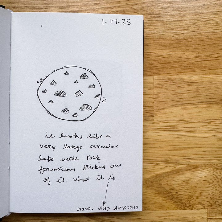 bad sketches of chocolate chip cookies