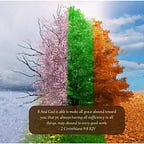 Daily Devotional For Women